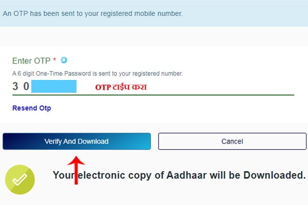 OPT टाईप करा. नंतर 'Verify And Download' वर क्लिक करा
