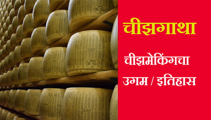 Cheese information in Marathi