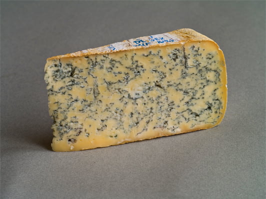 Gongonzola Cheese information in Marathi