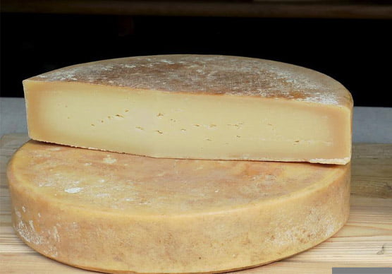 Gouda Cheese information in Marathi