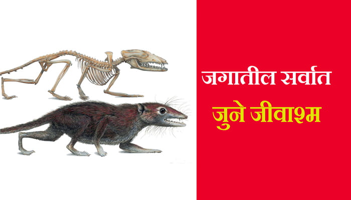 oldest fossils information in Marathi