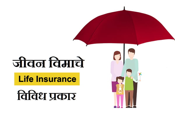 जीवन विमाचे विविध प्रकार | Types of Life Insurance Plans - MarathiDiary