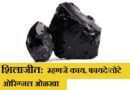 Shilajit Mahiti