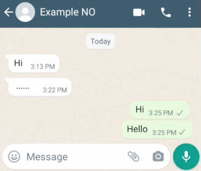Blocked on WhatsApp or not, how to use it, method number 3