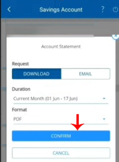 HDFC Mobile Banking Bank Statement Download Step 6