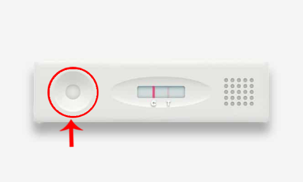 Pregnancy Kit Urine Sample Location